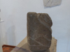 2024_utrinki-finzgarjevaIMG_20240604_121918763Komavec