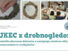 Ajkec z drobnogledom